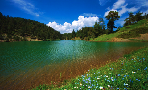 Ekran Resmi 2026-04-21 15.26.17.png