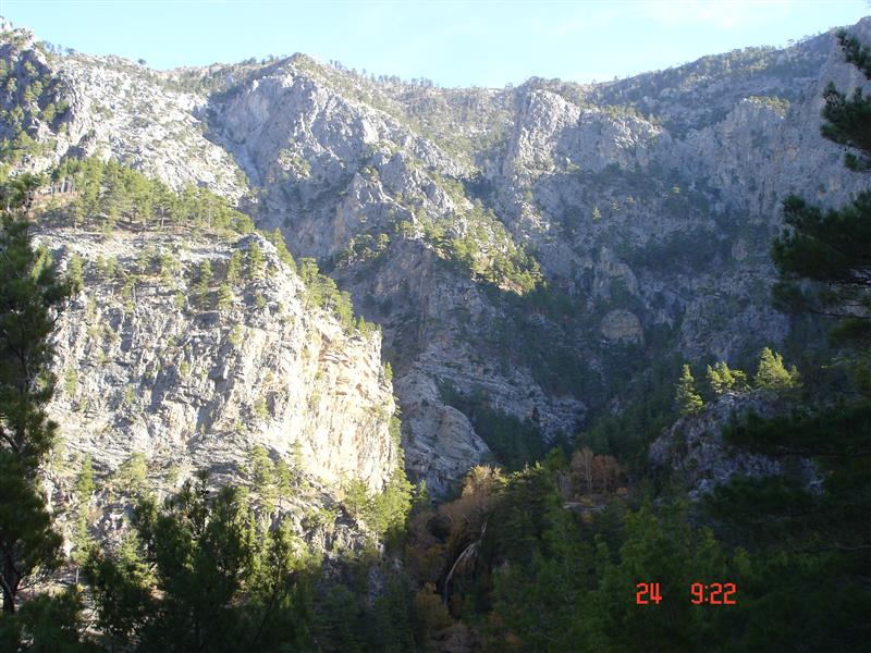 Dimçayı Yaban Hayatı Geliştirme Sahası